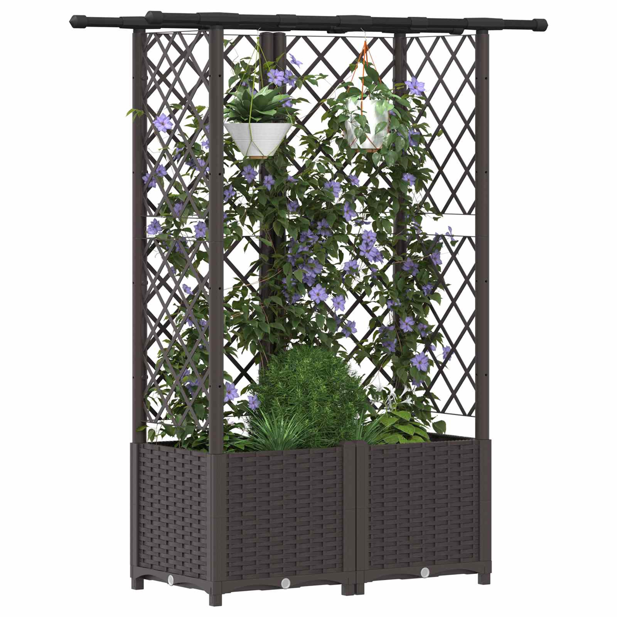 Brauner Pflanzkübel mit Spalier und Kletterpflanzen mit violetten Blüten.