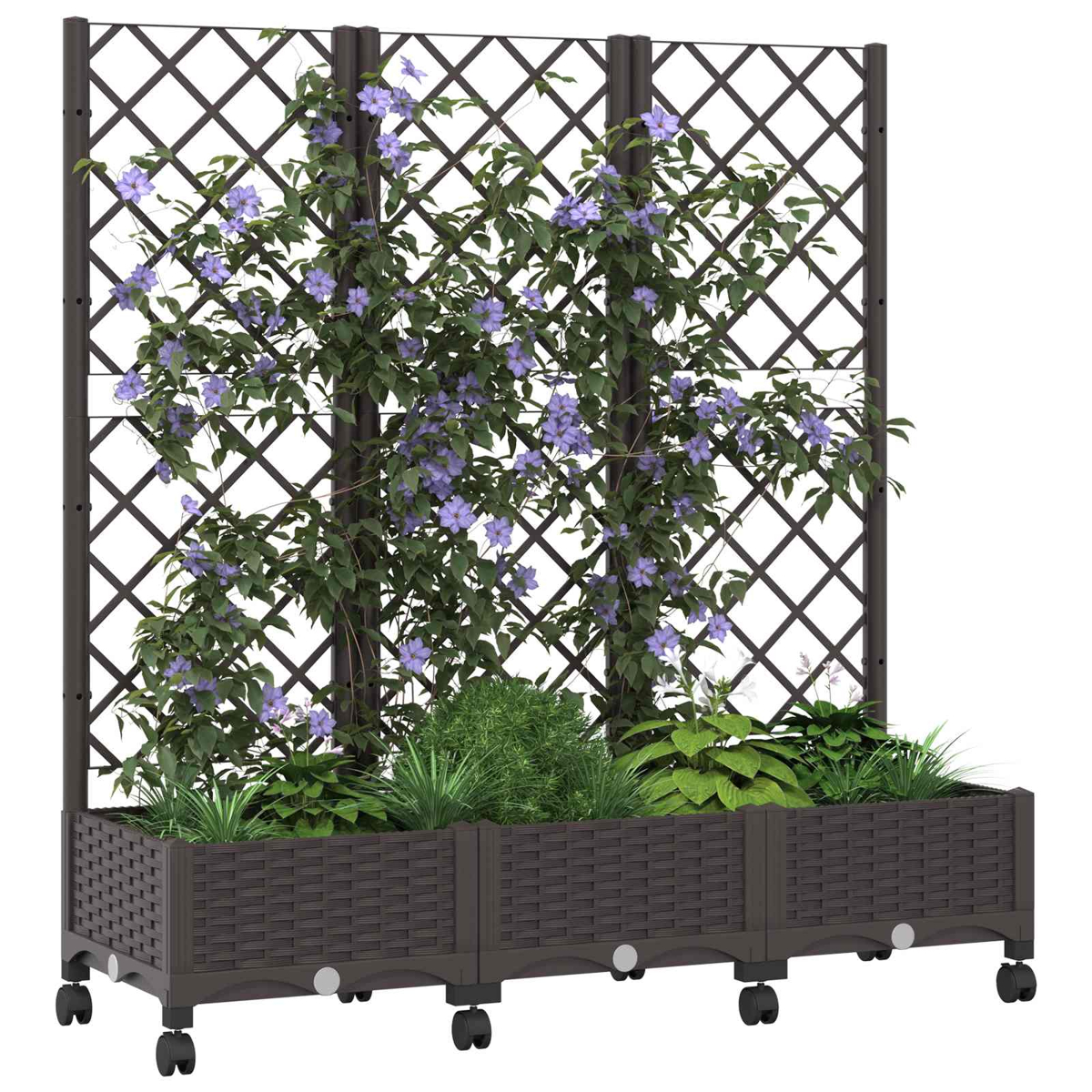 Brauner Pflanzkasten auf Rollen mit Spalier, bewachsen mit grünem Laub und violetten Blüten.