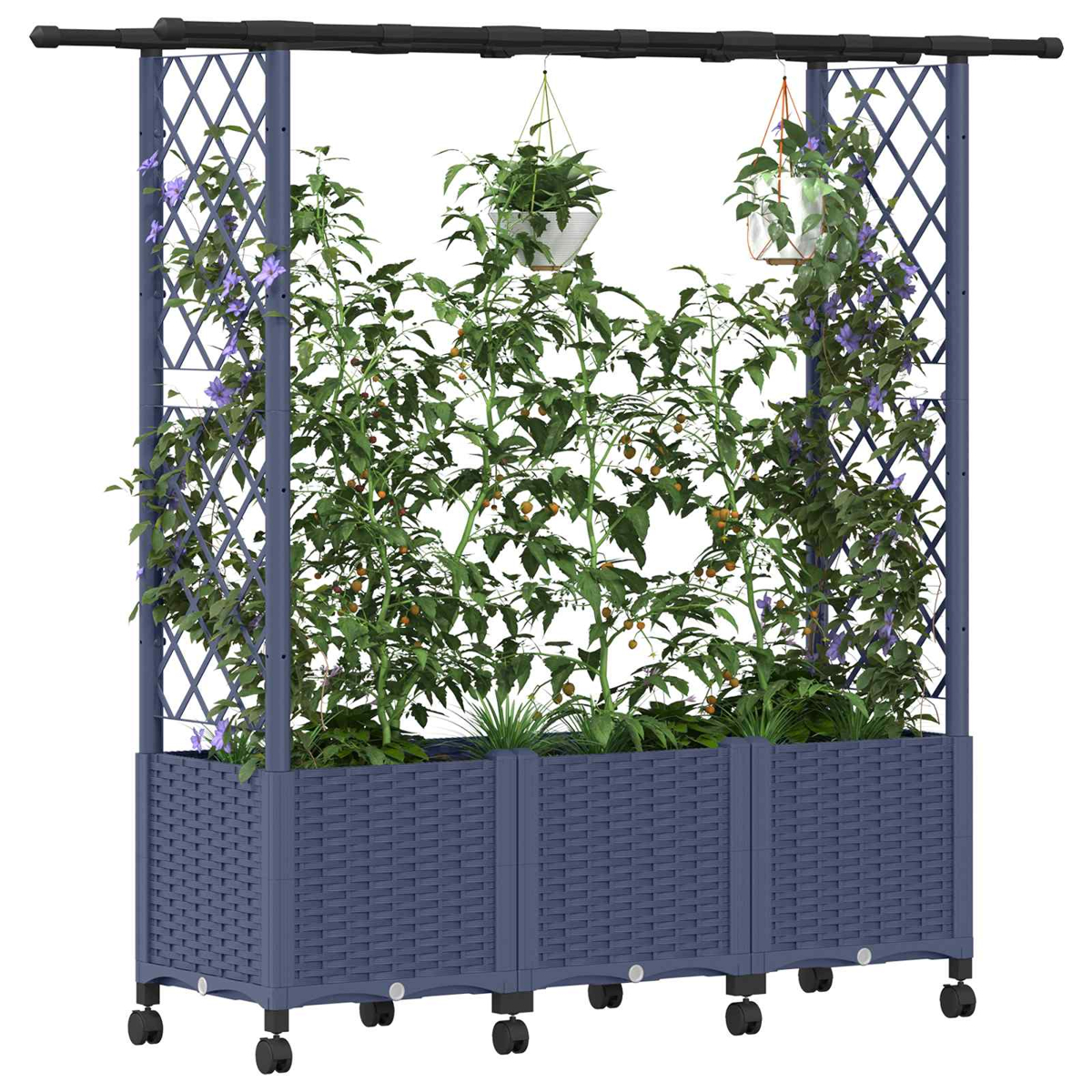 Ein blauer Pflanzkübel mit Spalier unterstützt Kletterpflanzen, Tomaten und zwei Hängetöpfe vor weißem Hintergrund.