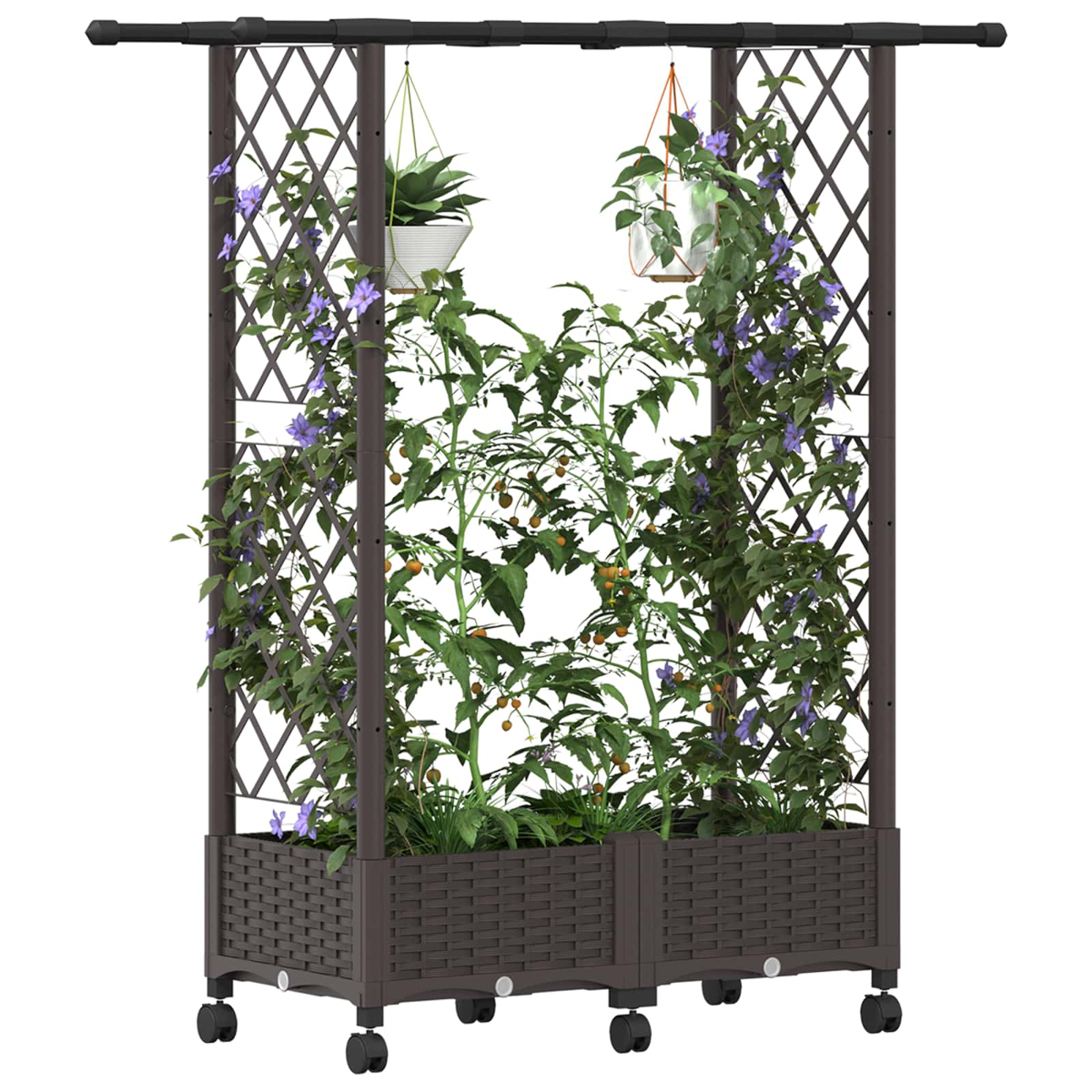 Ein rollendes dunkelbraunes Pflanzgefäß mit Spalier, Kletterpflanzen, violetten Blüten und zwei Hängekörben.