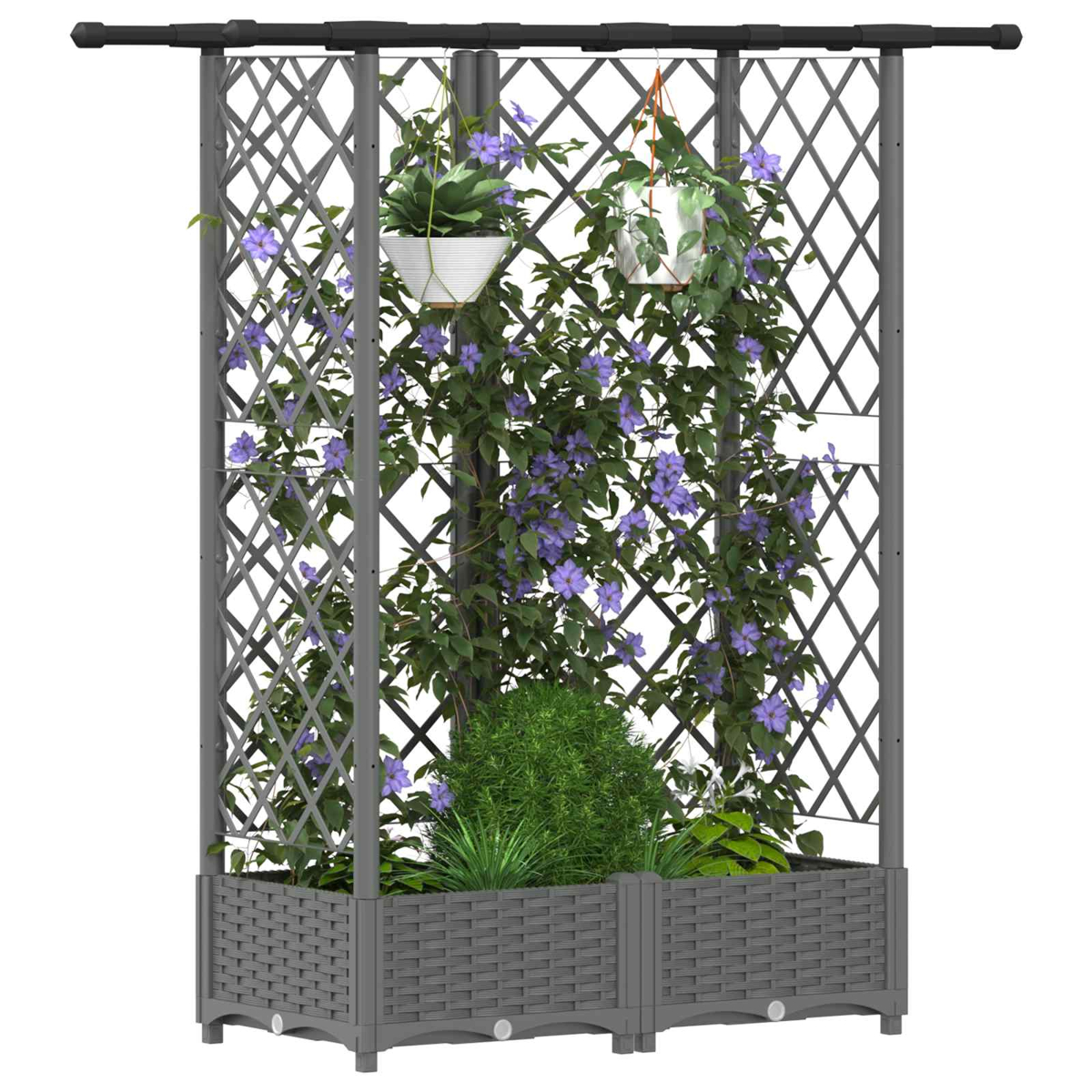 Grauer Gartenspalier-Pflanzkasten mit violetten Kletterpflanzen, H Töpfen und grünem Laub auf weiß.