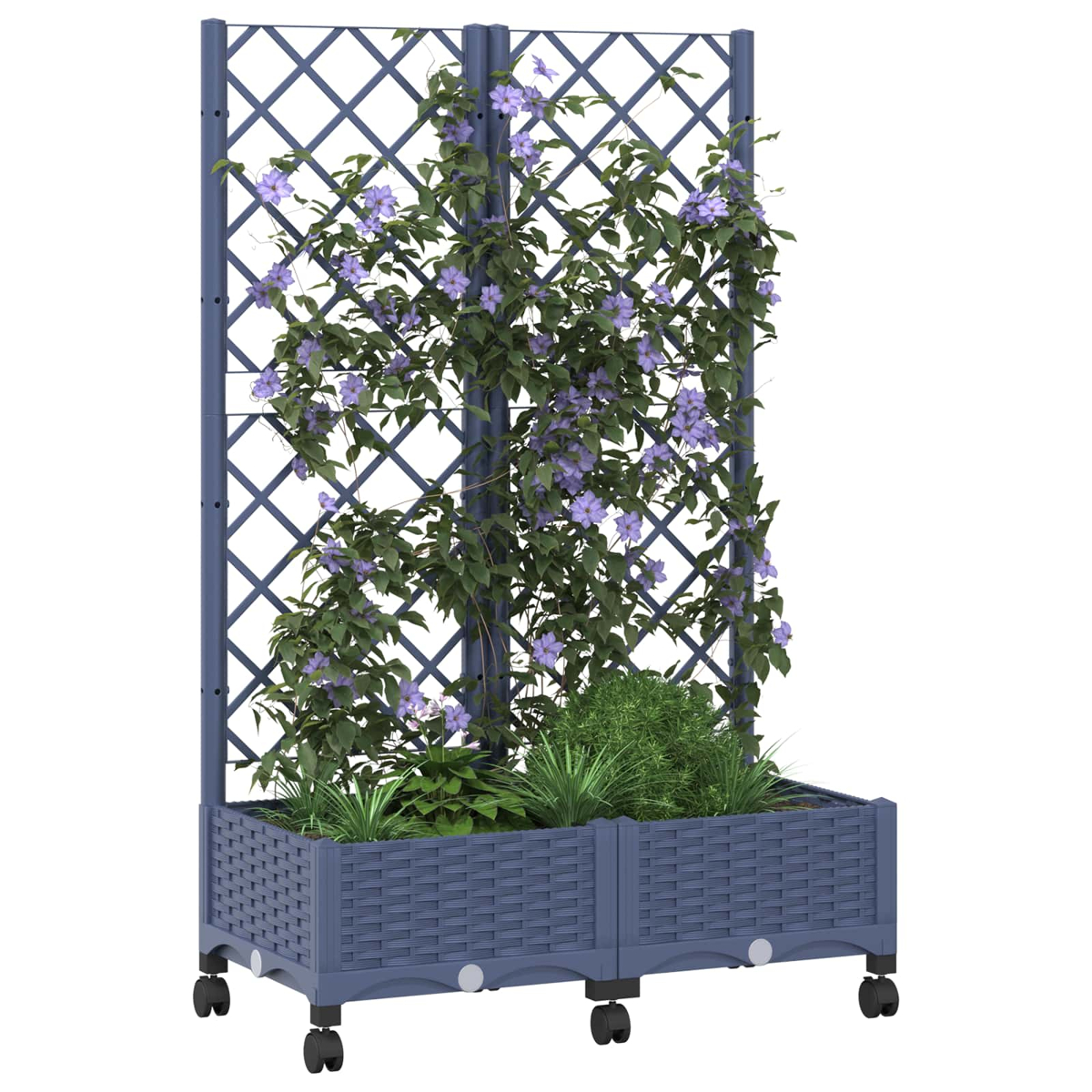 Ein blauer Rankkasten mit Rollen und Kletterpflanzen, die lila Blüten tragen.