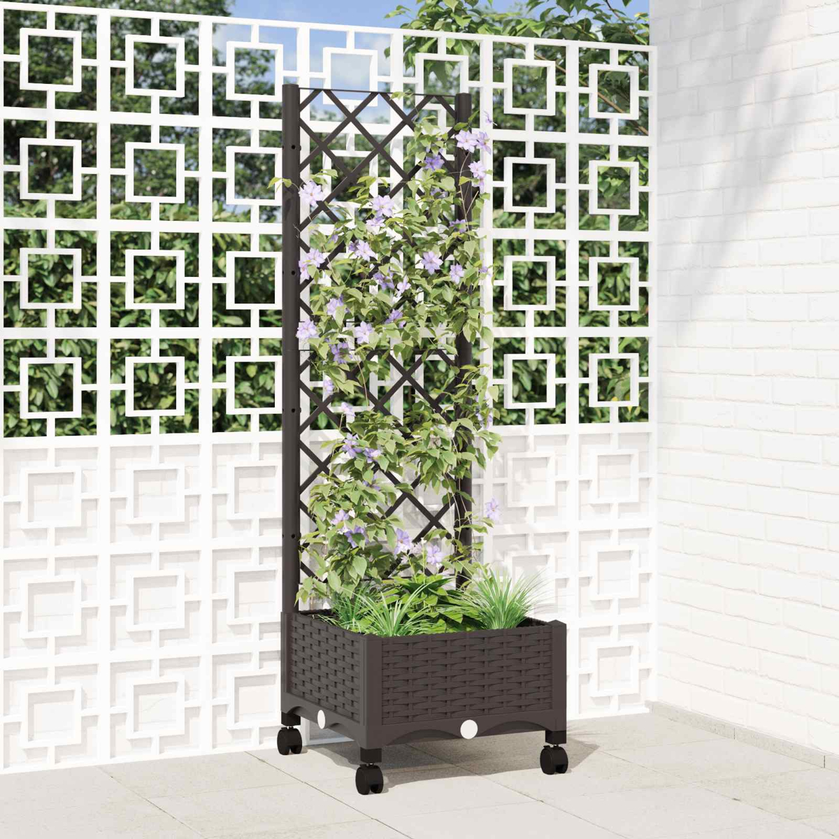 Ein brauner Rattan-Pflanzkübel auf Rädern mit hohem Spalier enthält grüne Pflanzen und hellila Clematis.