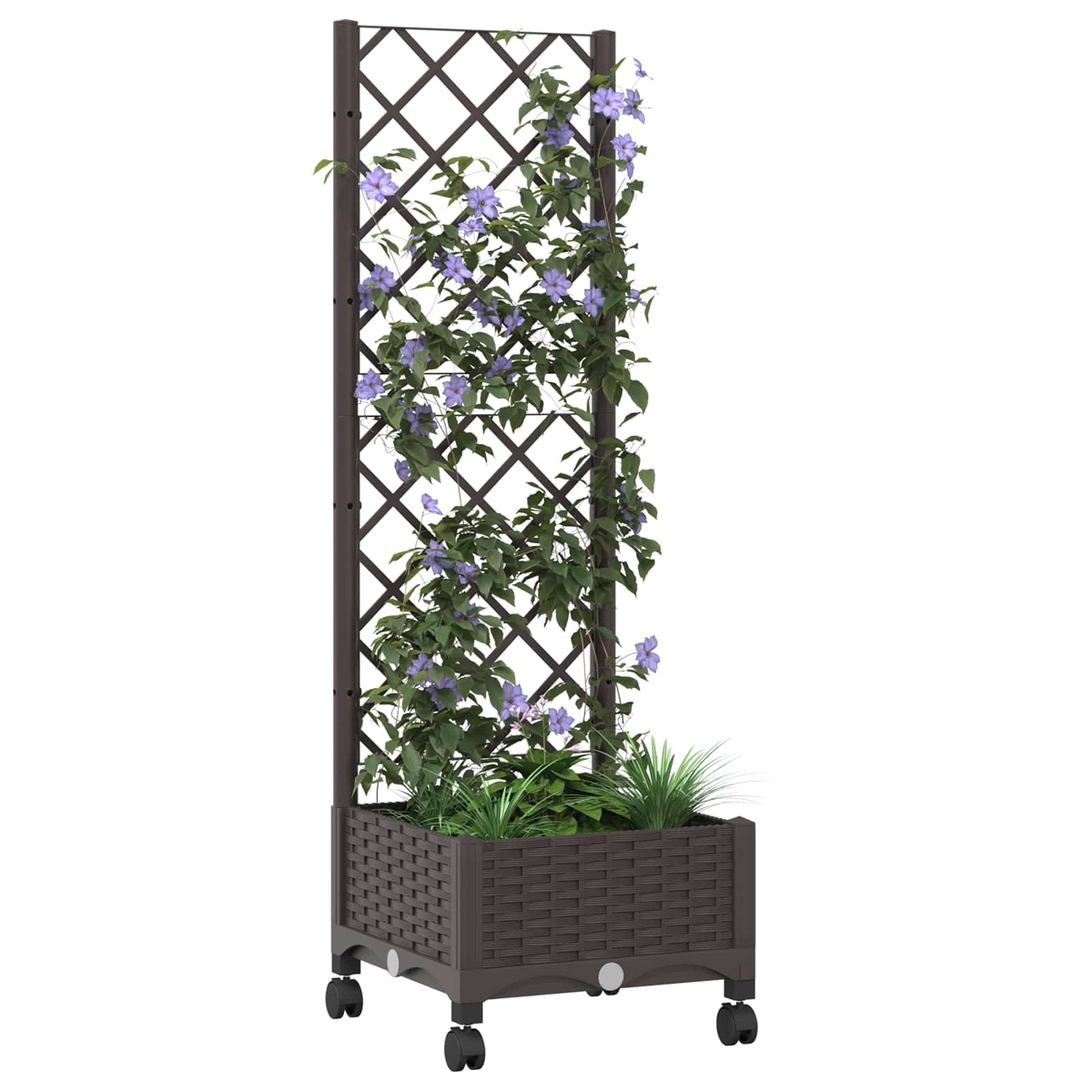 Brauner Pflanzkübel mit Spalier auf Rollen, bewachsen mit grünem Blattwerk und violetten Blumen.
