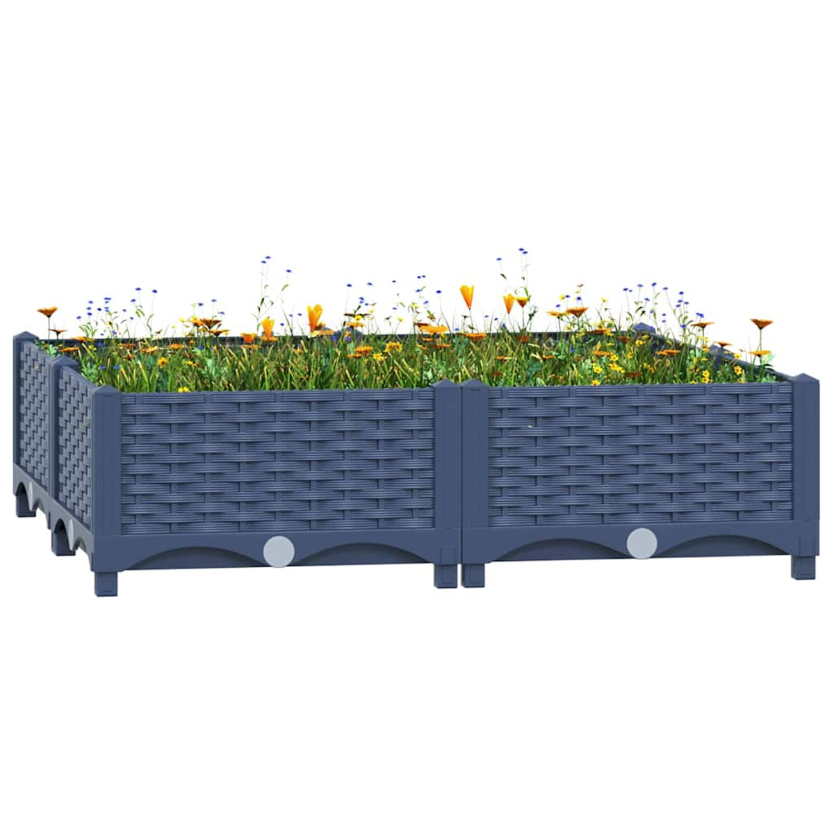 Ein rechteckiges, graues Hochbeet aus Rattangeflecht mit blühenden Blumen und grünen Pflanzen auf weißem Hintergrund.