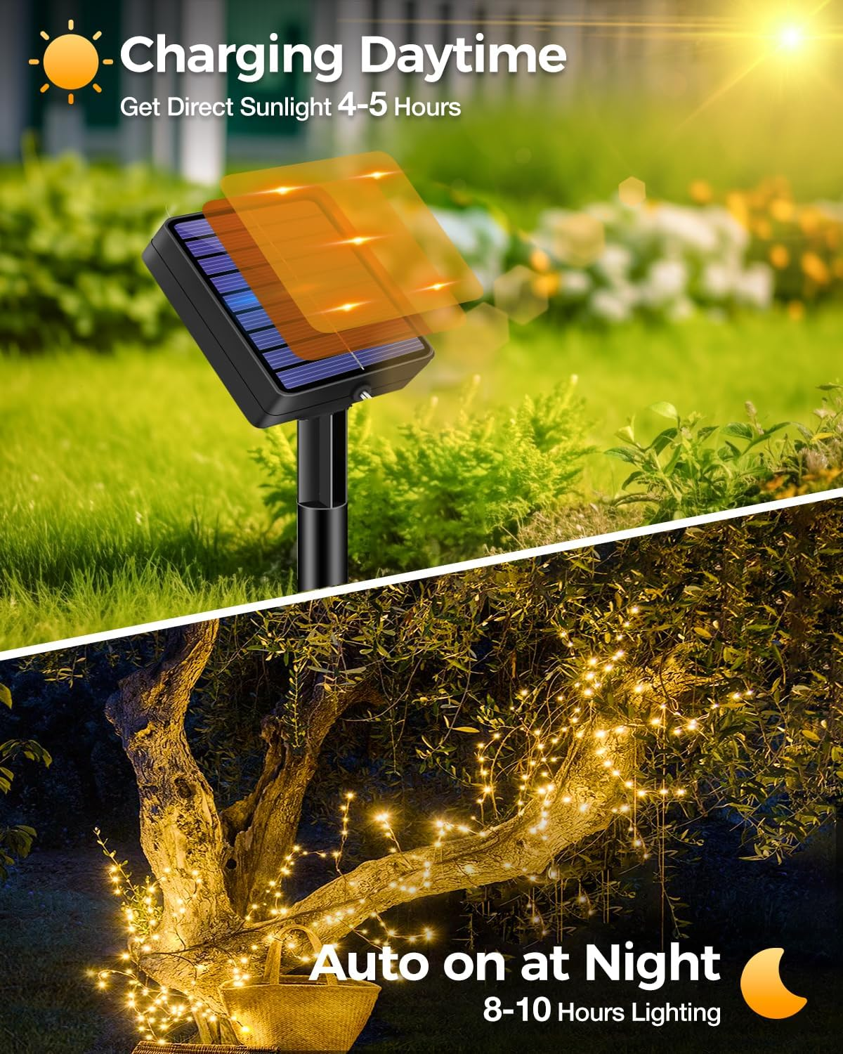 Solarmodul lädt tagsüber und Lichterkette leuchtet nachts am Baum.