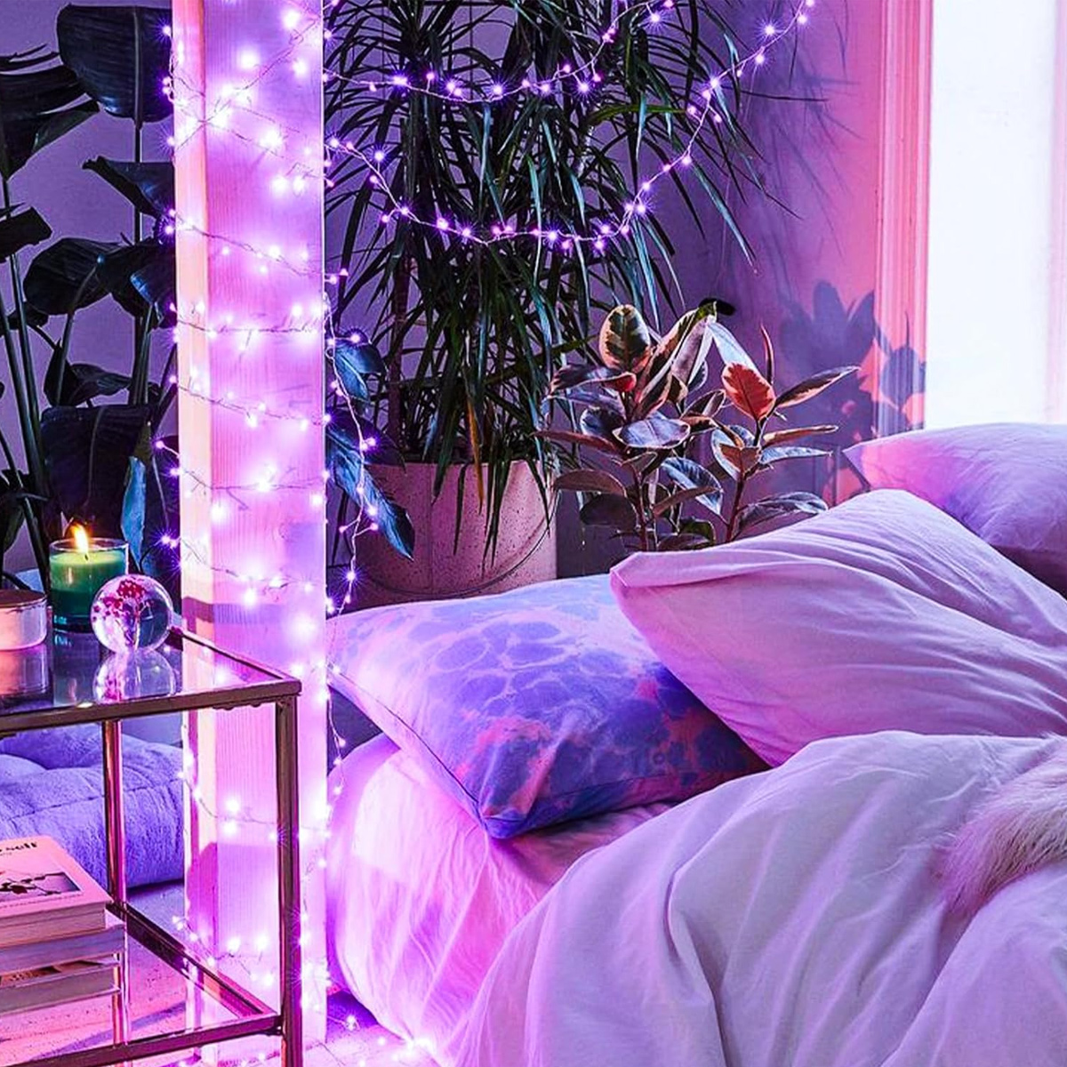 Gemütliches Schlafzimmer mit violettem Licht, Pflanzen, beleuchteten Girlanden und einem Bett mit Kissen.