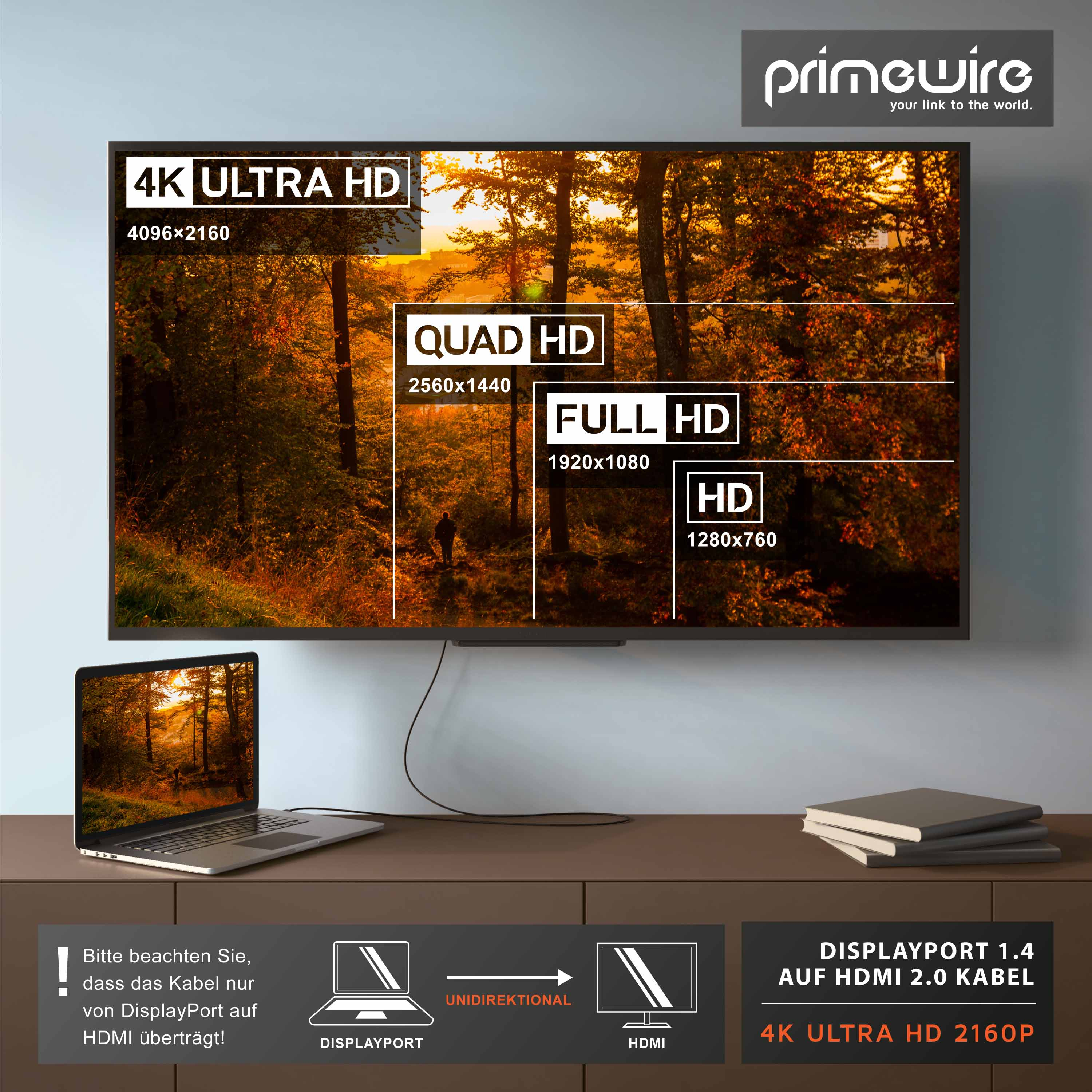Ein Laptop verbunden mit einem großen Bildschirm zeigt Auflösungsvergleiche von 4K bis HD vor Wald.