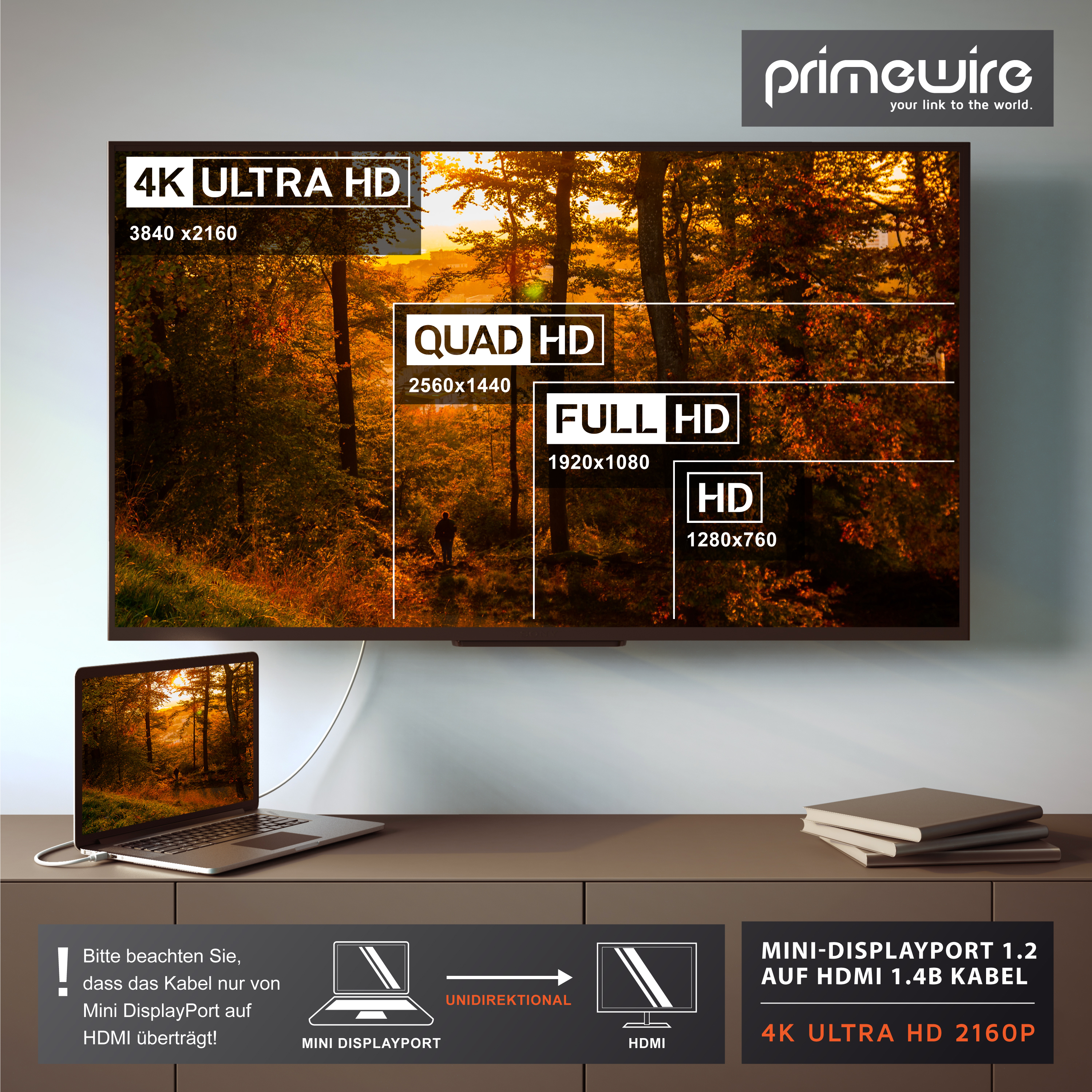 Ein Laptop ist mit einem Fernseher verbunden und zeigt Bildschirmauflösungen wie 4K Ultra HD in einem herbstlichen Wald.
