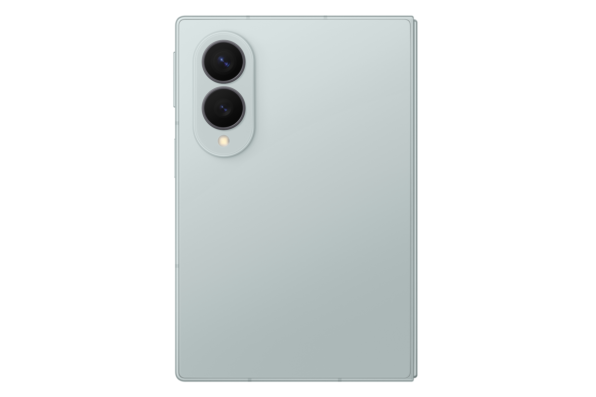Retro di uno smartphone verde chiaro con una doppia fotocamera verticale e un flash.