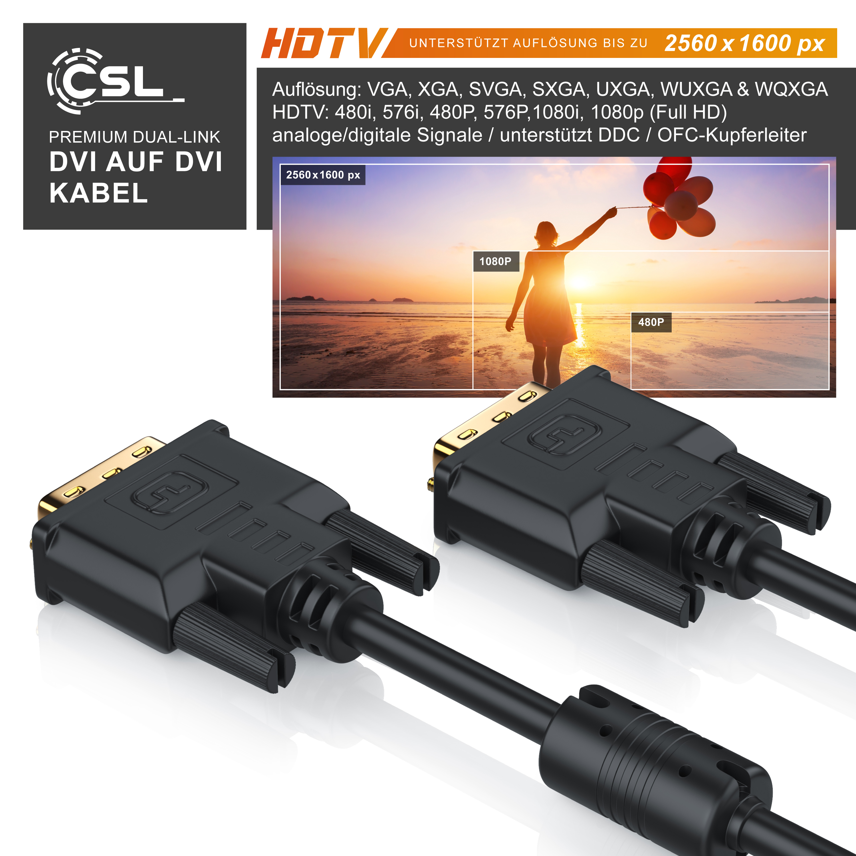 Zwei schwarze DVI-Kabelstecker vor einem Sonnenuntergang mit Text und Auflösungsvergleich.