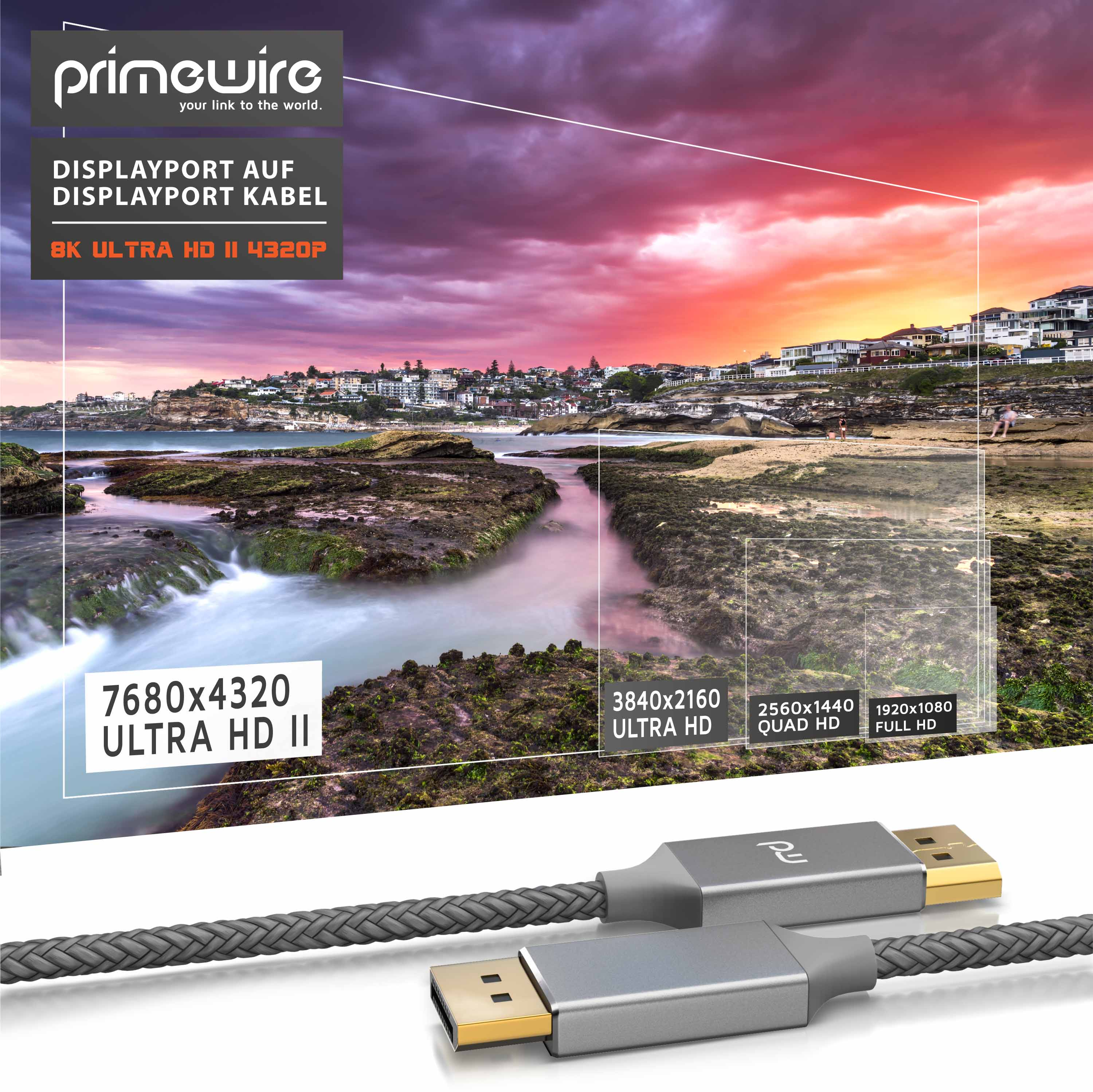 DisplayPort-Kabel mit grauen Metallsteckern und geflochtenem Kabel vor einer Küstenlandschaft mit Infografik.