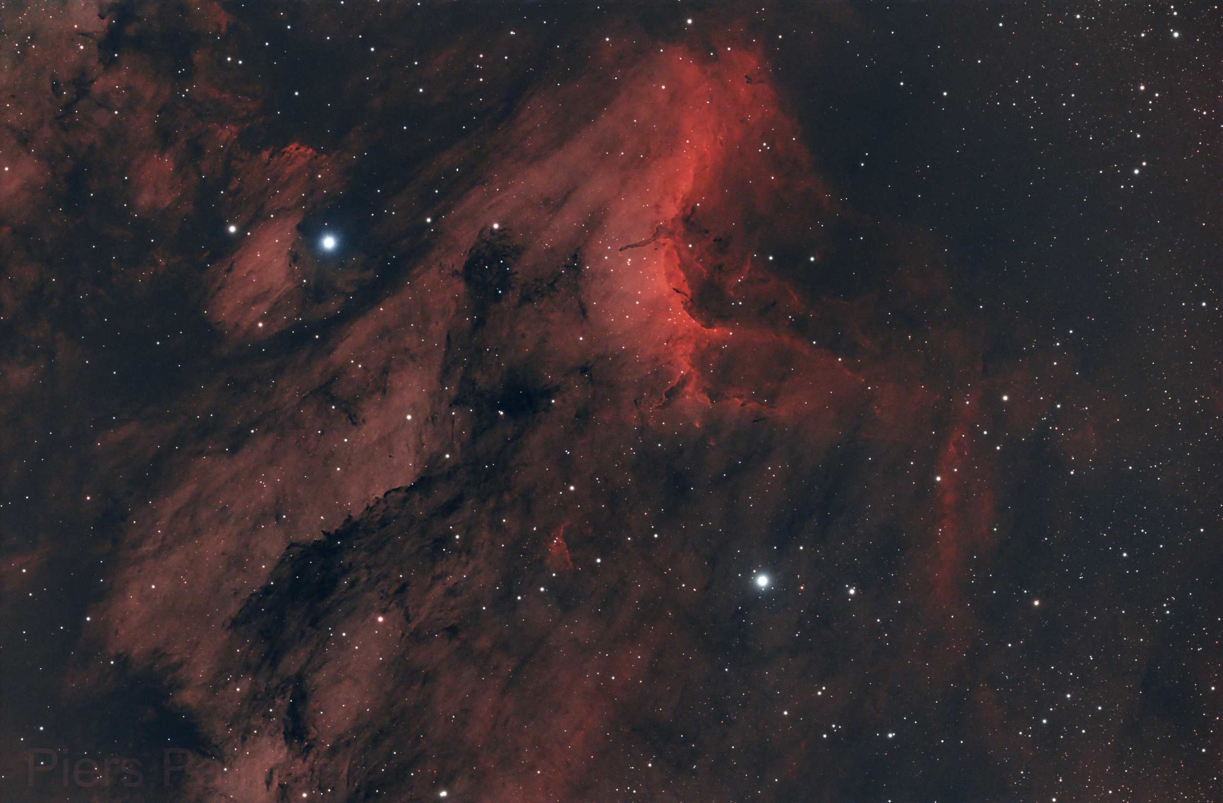 Una nebulosa estelar roja brillante con nubes de polvo oscuras y numerosas estrellas brillantes sobre fondo negro.