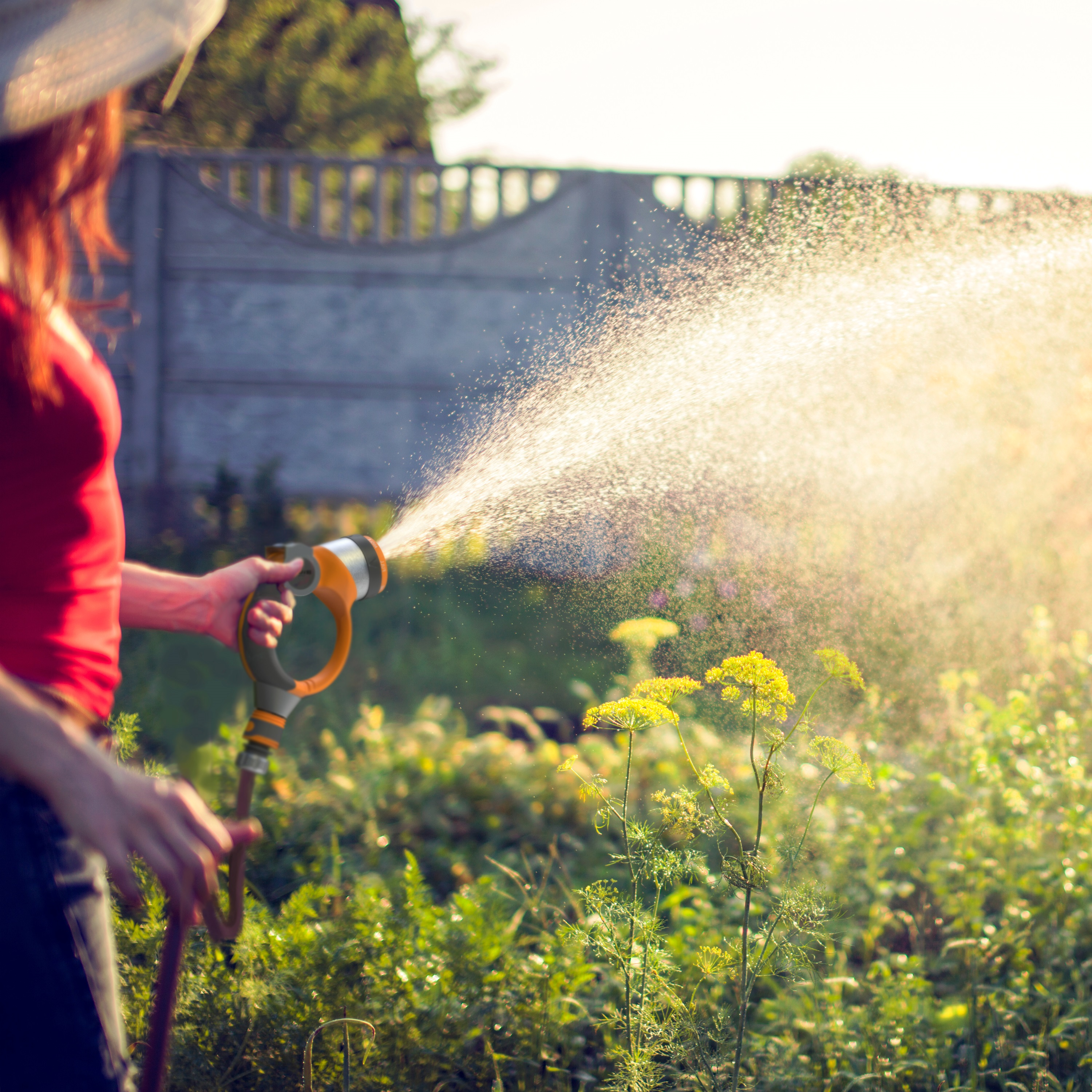 Eine Frau in einem roten Oberteil wässert ihren Garten mit einem orange-grauen Gartenschlauch im Sonnenschein.