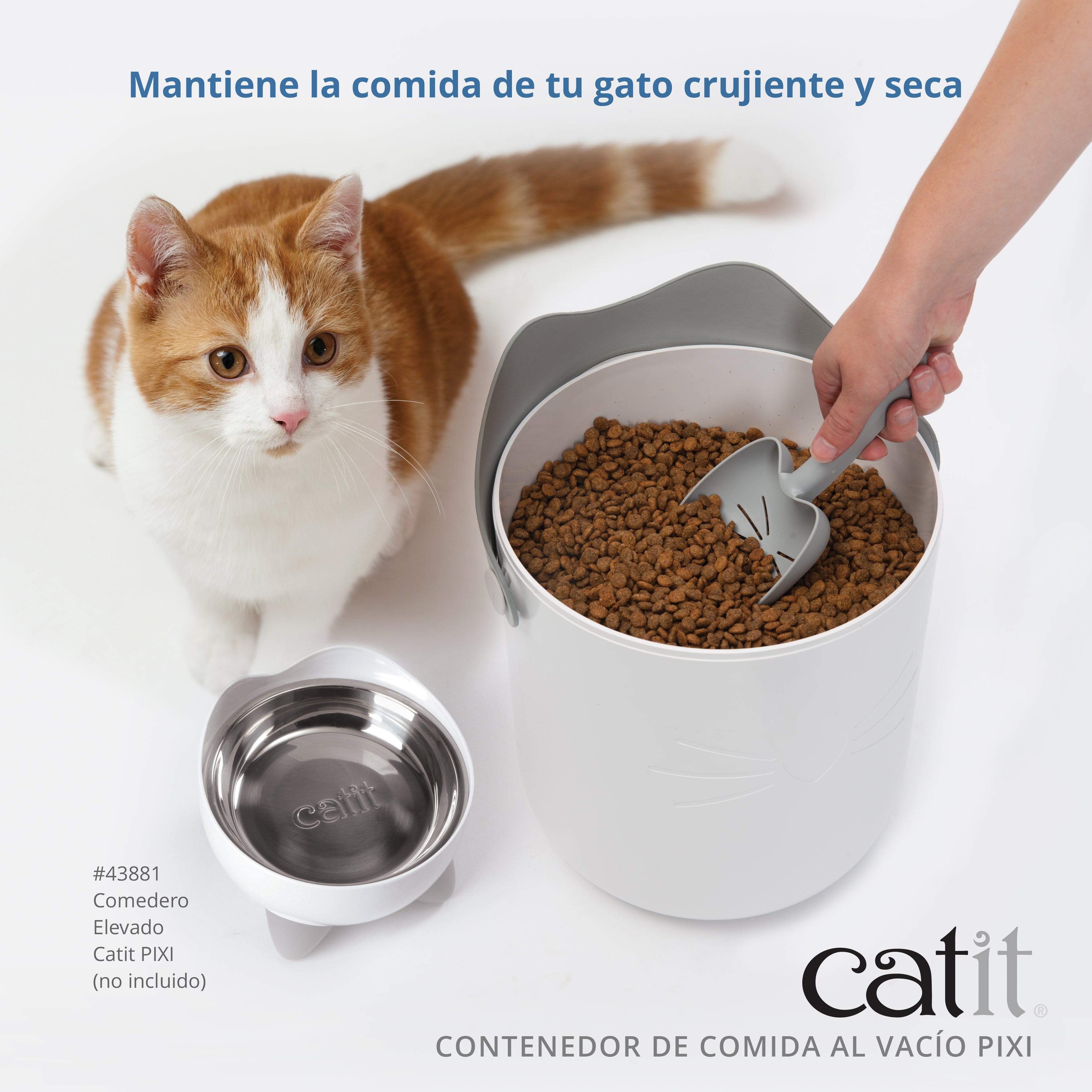 Una mano saca comida de un recipiente blanco junto a un gato rojo y blanco y un cuenco.