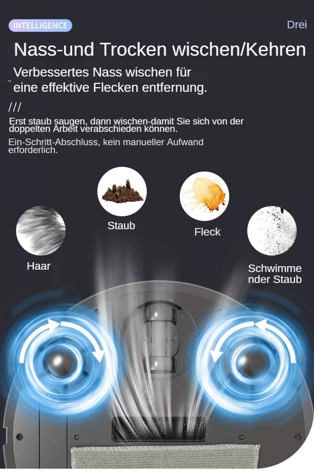 Produktwerbung für Nass- und Trockenreinigung mit Icons für Haare, Staub, Flecken und schwebenden Staub.