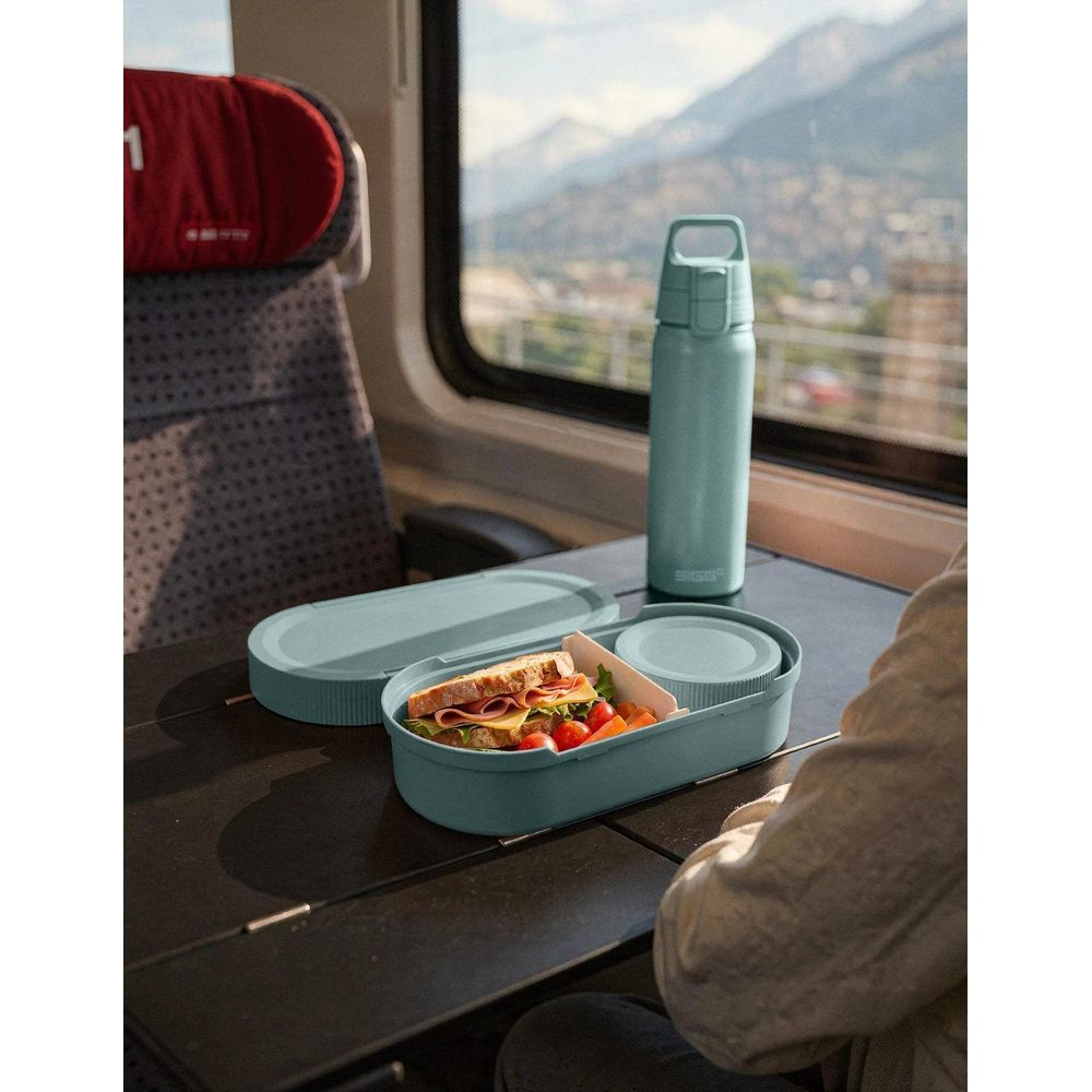 Portapranzo con panino e borraccia su un tavolino del treno, con vista sulle montagne.