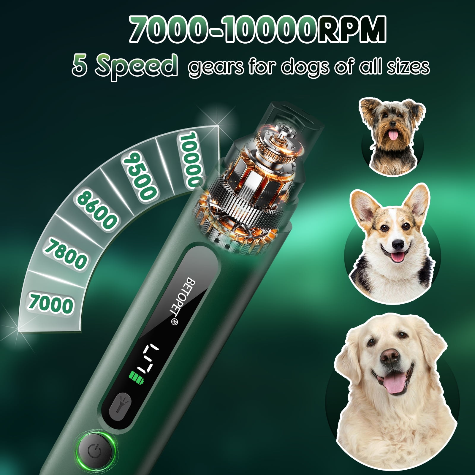 Grüner Hunde-Krallenschleifer mit 5 Geschwindigkeiten und LED-Display, dargestellt mit verschiedenen Hunderassen.