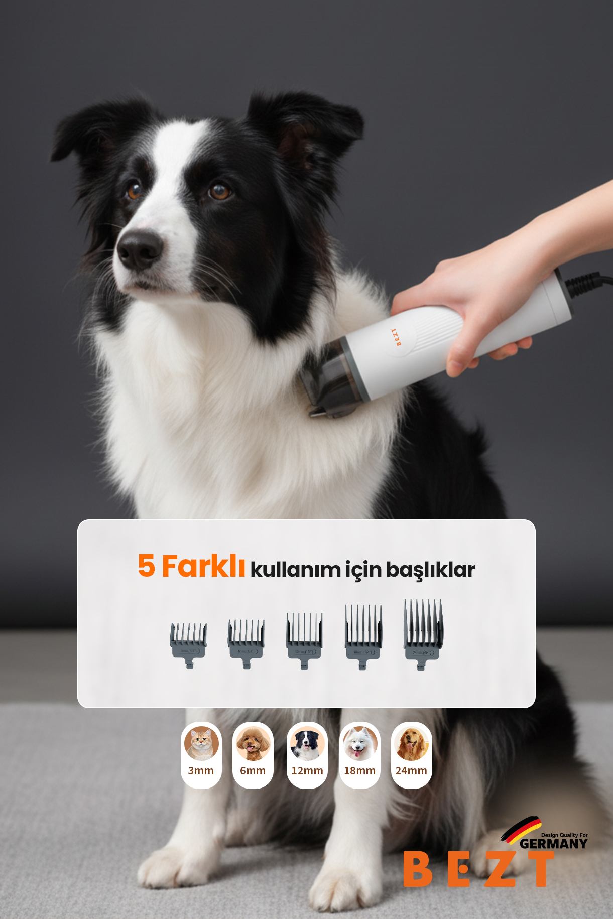 Bir köpek beyaz bir cihazla taranıyor. Altta 3mm ile 24mm arasında beş farklı başlık gösteriliyor.