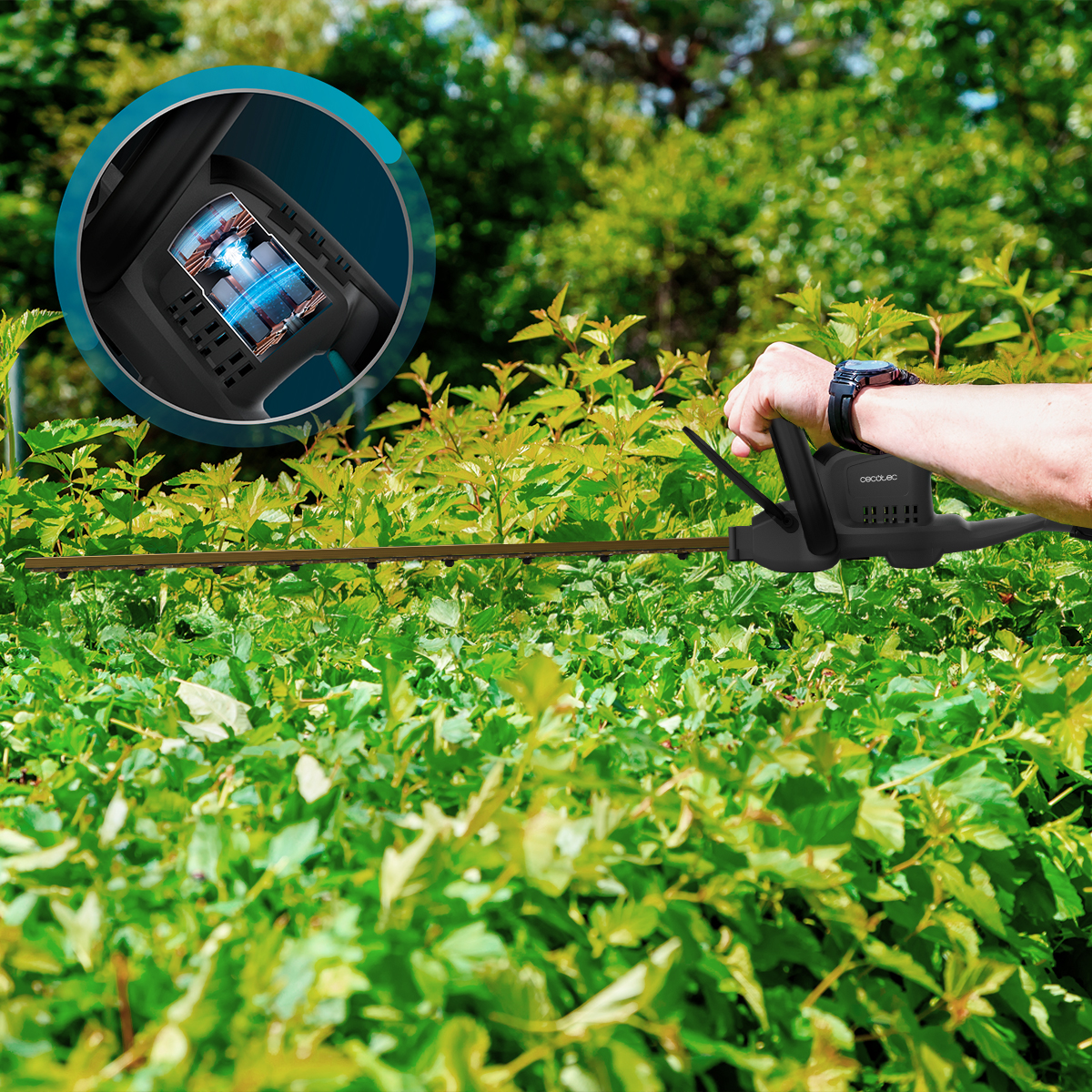 Una persona recorta un seto verde con un cortasetos eléctrico negro, con un gráfico del motor.