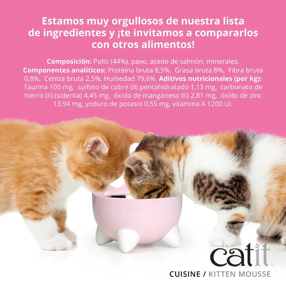 Dos gatitos comen juntos de un cuenco rosado frente a un fondo rosa con texto.