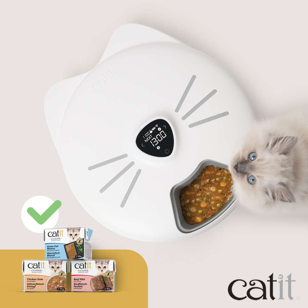 Un gatito come de un comedero automático blanco con forma de gato y pantalla digital, junto a comida.