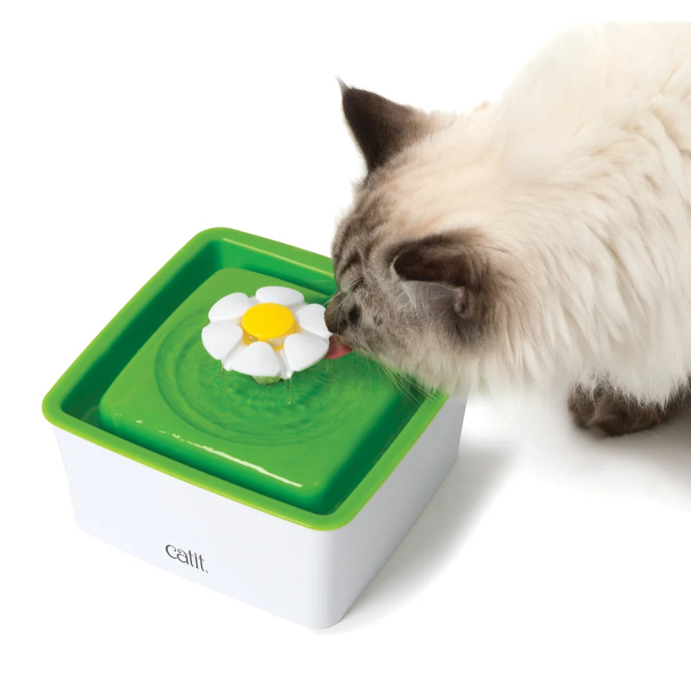 Un gato peludo bebe de una fuente de agua para gatos blanca y verde con forma de flor sobre fondo blanco.