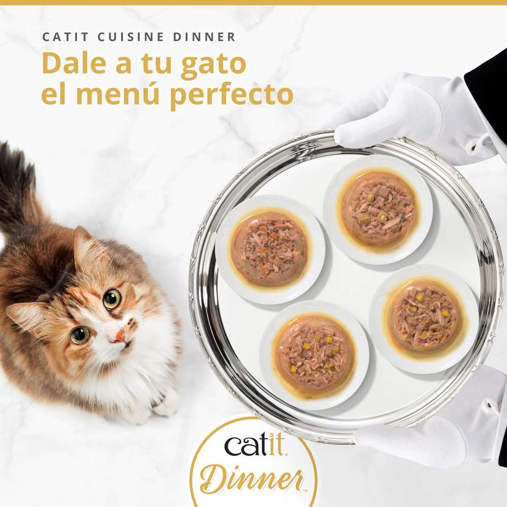 Un gato mira una bandeja plateada sostenida por manos con guantes, con cuatro platos de comida.