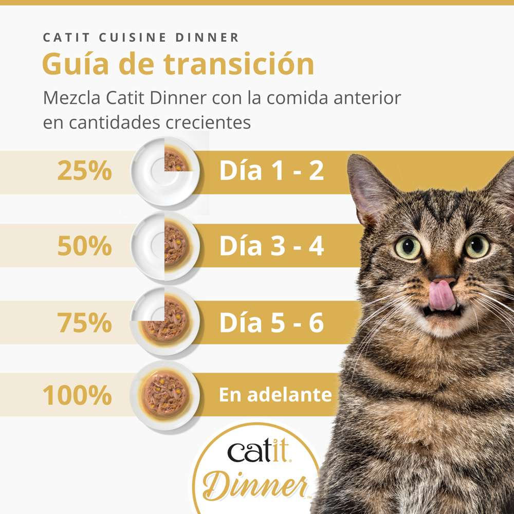 Guía de transición de alimentos con porcentajes y platos sobre fondo amarillo, con un gato lamiéndose la nariz a la derecha.