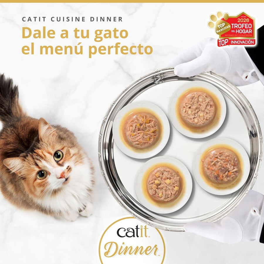 Un gato mira una bandeja plateada con cuatro cuencos de comida para gatos, sostenida con guantes blancos.