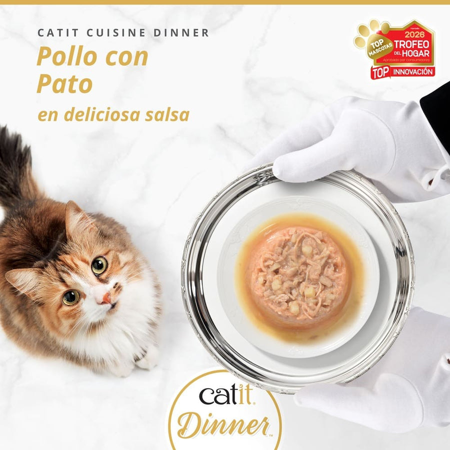 Un gato mira hacia arriba mientras manos enguantadas presentan una bandeja de plata con comida para gatos en salsa.