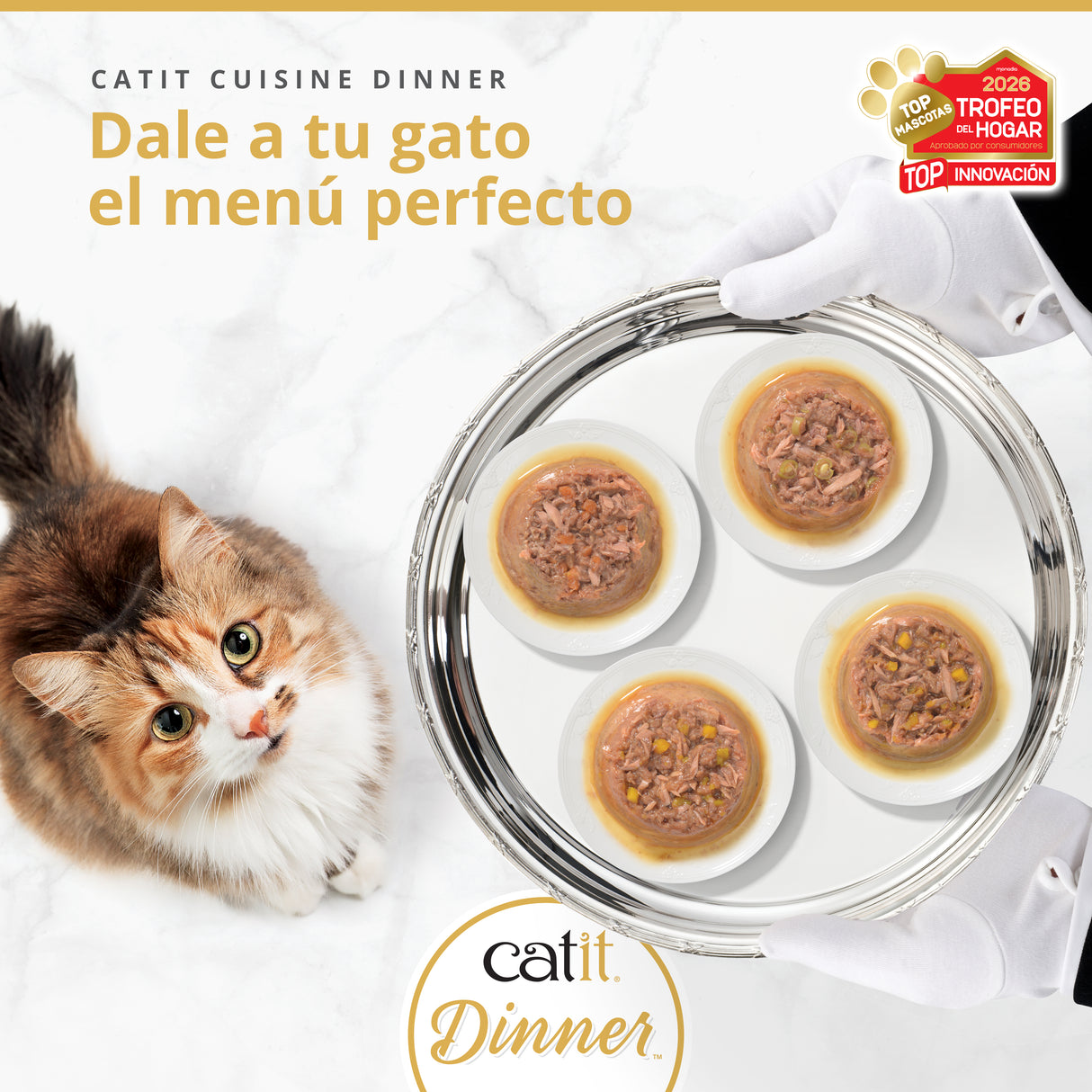 Un gato mira una bandeja plateada con cuatro platos pequeños de comida.