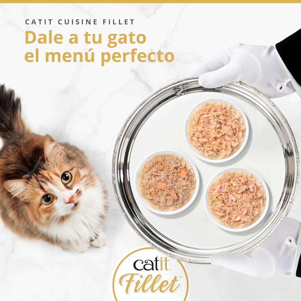 Un mayordomo con guantes blancos sostiene una bandeja con tres boles de comida para gatos y un gato observa.