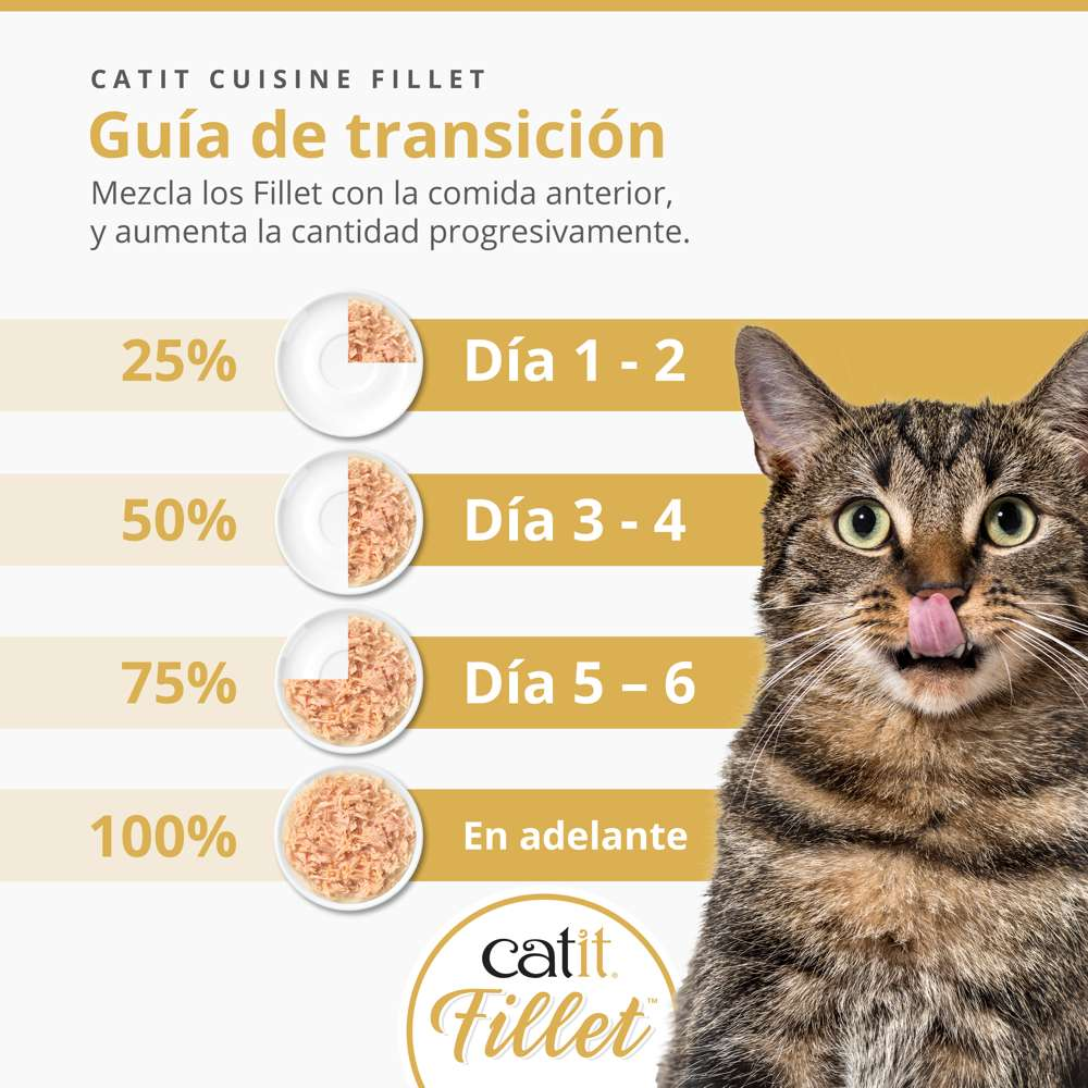 Guía de transición de comida para gatos con porcentajes, platos de carne y un gato lamiéndose.