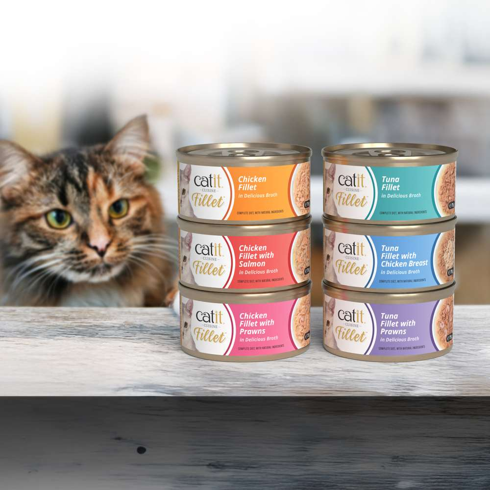 Un gato atigrado mira seis latas de comida para gatos Catit apiladas en una mesa de madera.