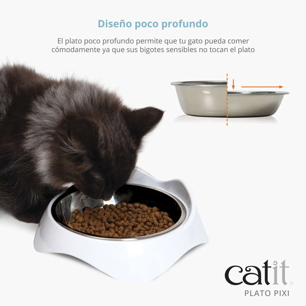 Un gato negro come de un plato poco profundo blanco y de acero inoxidable con comida seca.