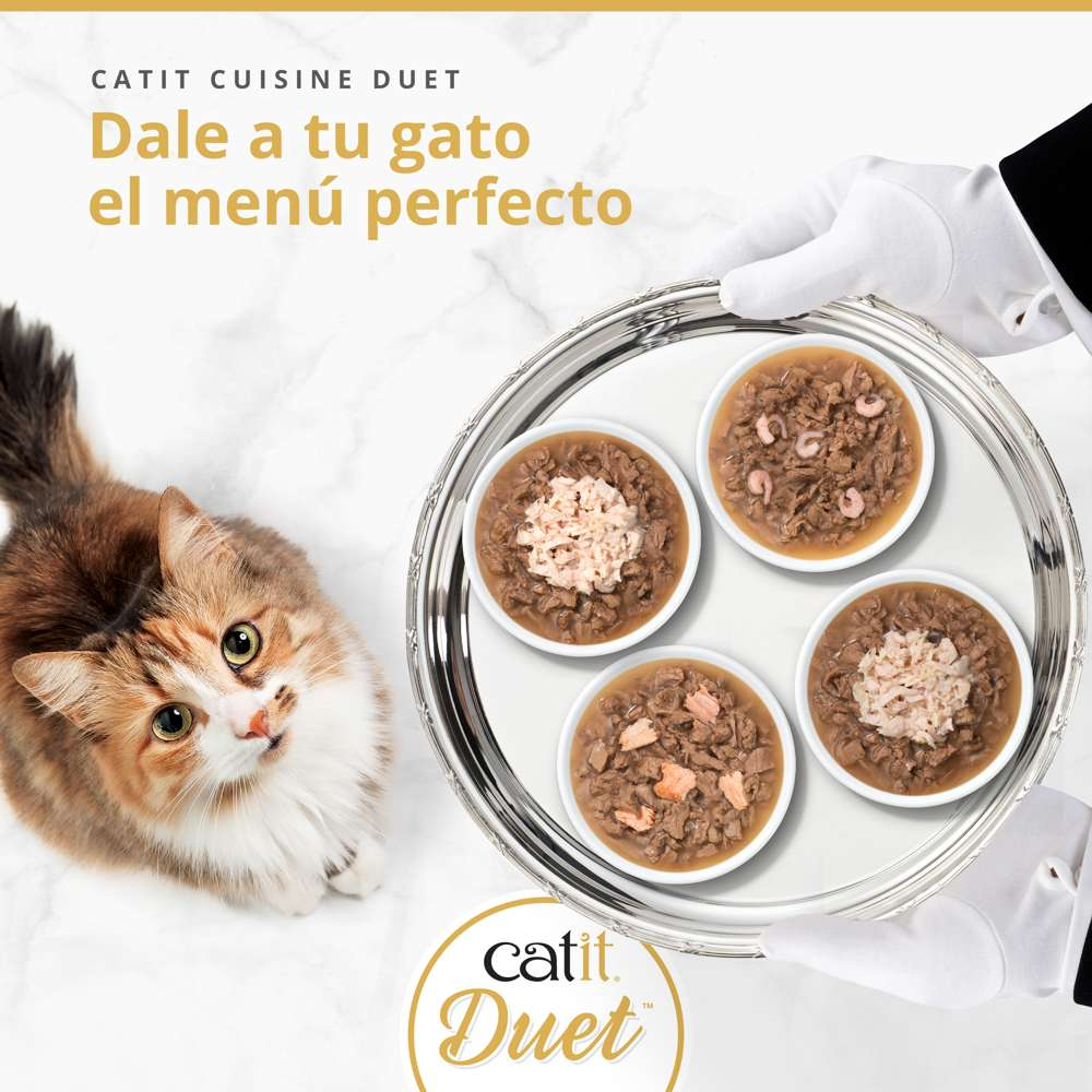 Un gato peludo mira una bandeja plateada con cuatro cuencos pequeños de comida para gatos.