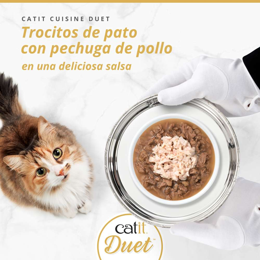 Un gato mira una cuenco plateado con comida para gatos sostenida por manos con guantes blancos.