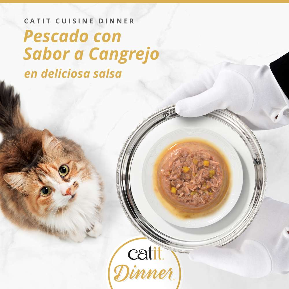 Un anuncio de comida para gatos muestra un gato y una bandeja plateada con pescado en salsa, sostenida con guantes blancos.