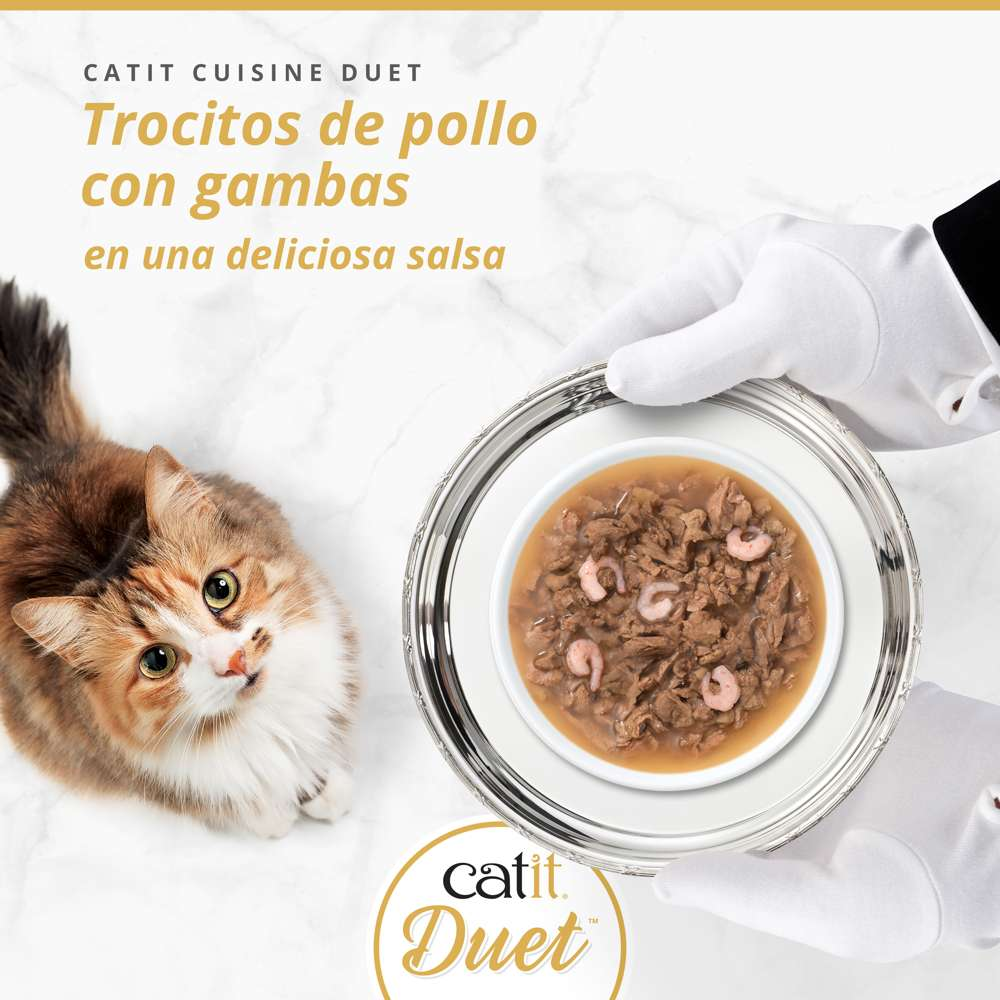 Una mano con guantes blancos sostiene una bandeja de plata con comida para gatos frente a un gato blanco.