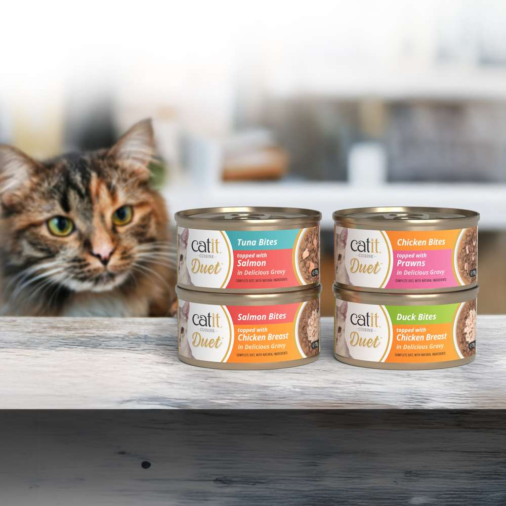 Un gato curioso mira cuatro latas apiladas de comida húmeda Catit Duet sobre una superficie de madera.
