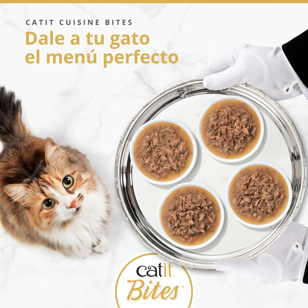 Un gato mira una bandeja con cuatro cuencos de comida, sostenida por manos con guantes blancos.