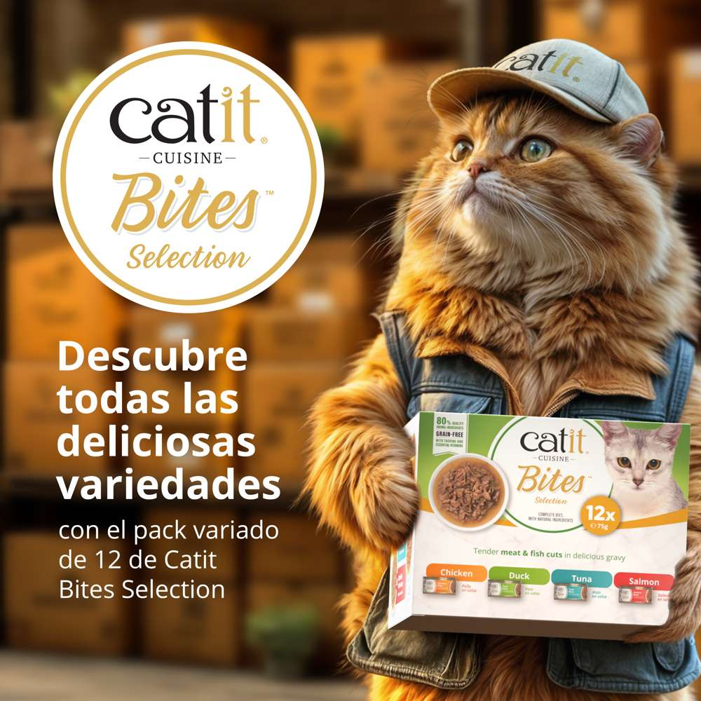 Un gato naranja con gorra sostiene una caja de comida Catit Bites Selection ante un fondo borroso.