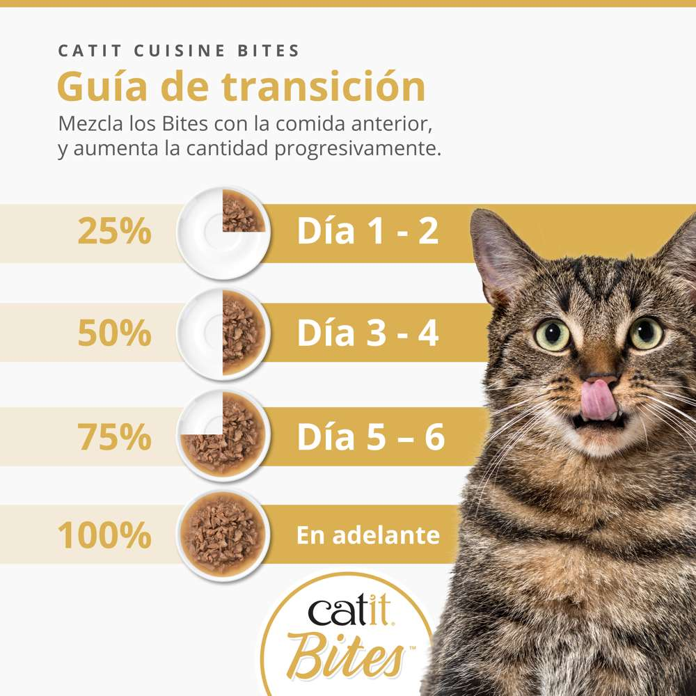 Gato lamiéndose la cara junto a una guía de transición de comida con cuatro pasos.