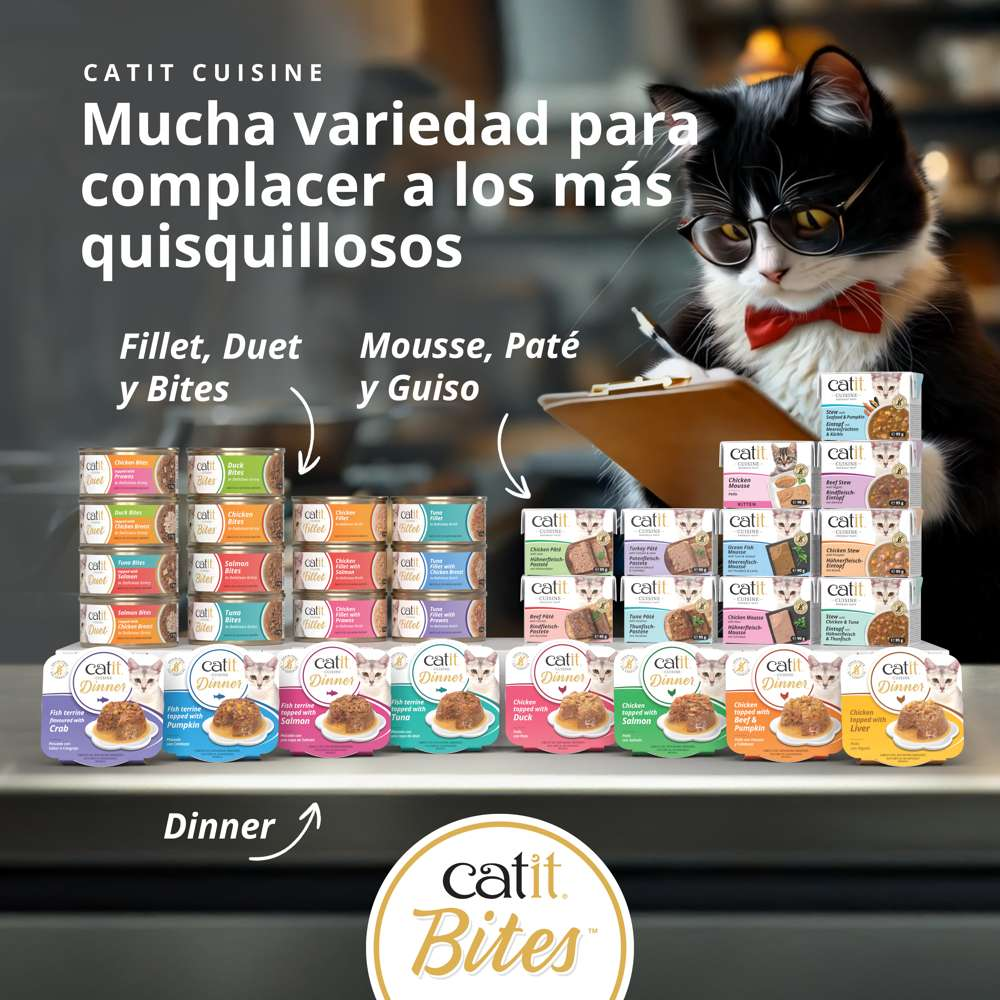 Un gato con gafas y pajarita mira una mesa con varios productos de comida para gatos Catit y texto en español.