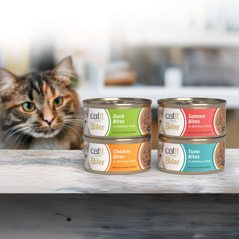 Un gato curioso mira cuatro latas de comida para gatos Catit Cuisine apiladas en una superficie de madera.