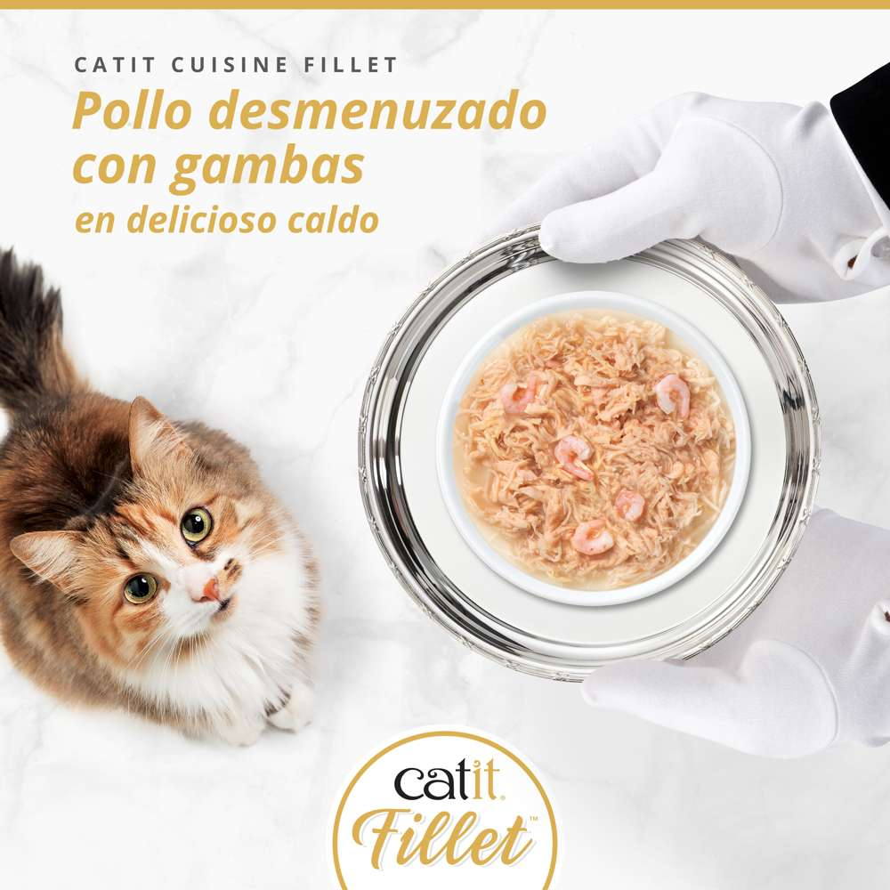 Una persona con guantes blancos sostiene un plato plateado con comida para gatos mientras un gato observa.
