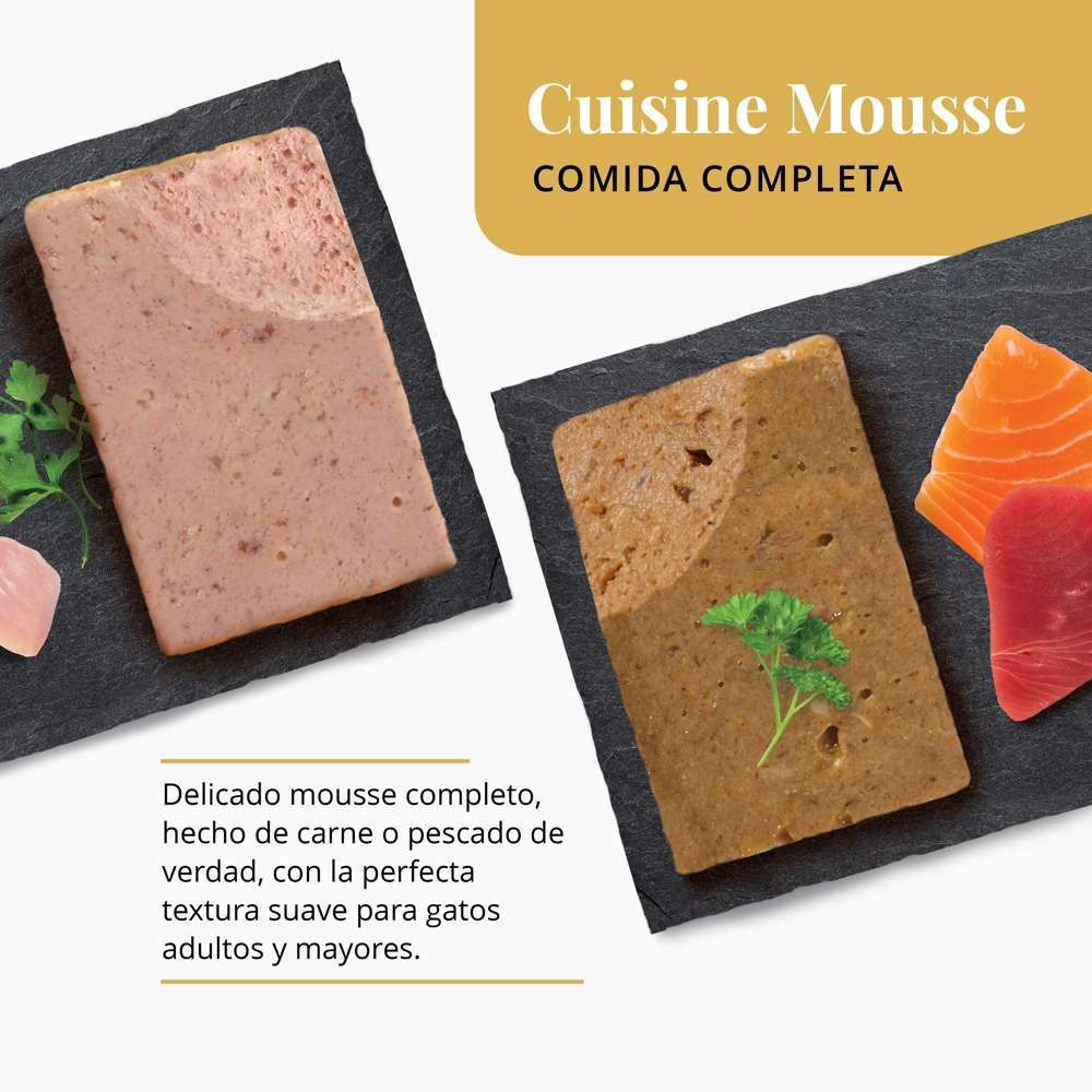 Dos porciones de mousse para gatos en pizarras, acompañadas de hierbas frescas y trozos de pescado.