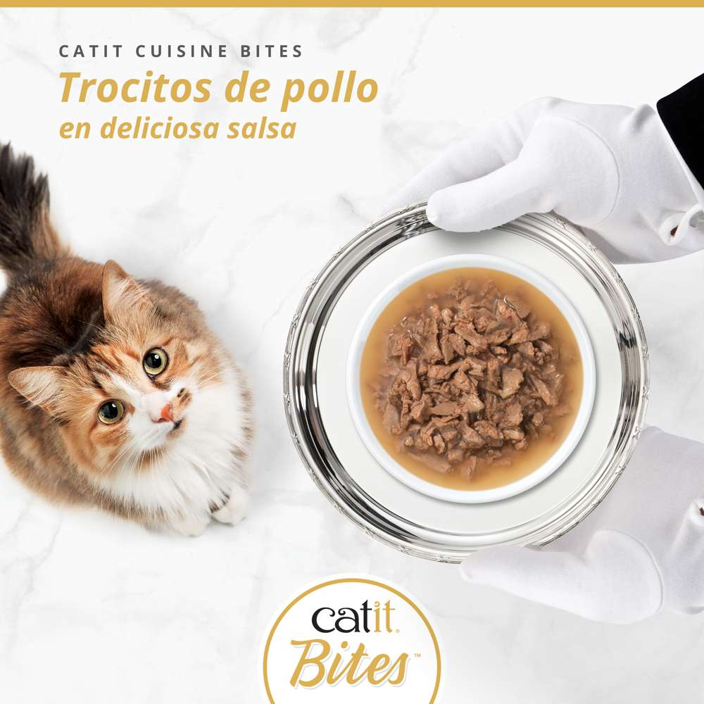 Un gato peludo mira una bandeja plateada con comida para gatos en salsa sostenida por manos con guantes blancos.