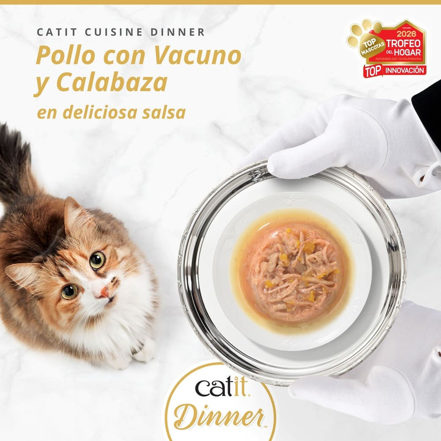 Un gato observa mientras una mano con guante blanco sirve una bandeja de plata con comida.